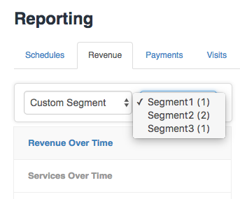 Customer Segmentation Multiple Options.png